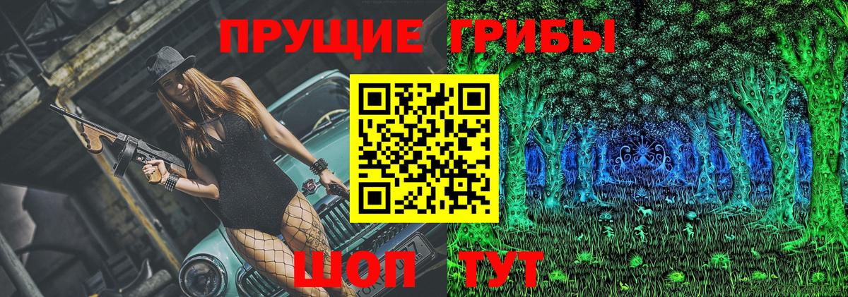 Димитровград  Галлюциногенные грибы Psilocybe  Вход с VPN 