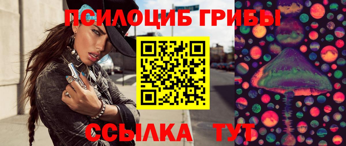 Псилоцибиновые грибы MAGIC MUSHROOMS Димитровград